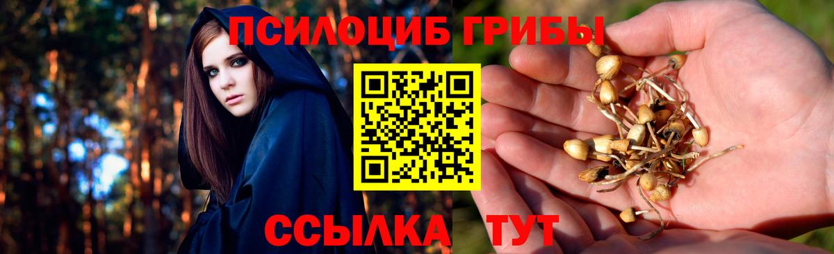 даркнет сайт  Псилоцибиновые грибы прущие грибы  Вход с VPN  Орск 
